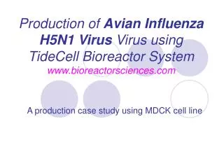 A production case study using MDCK cell line