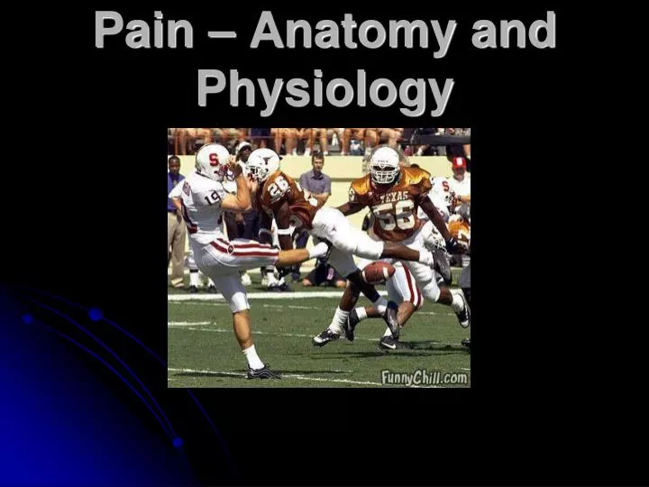 pain anatomy and physiology