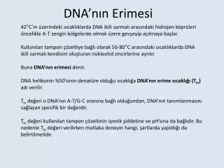 dna n n erimesi