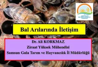 bal ar lar nda leti im