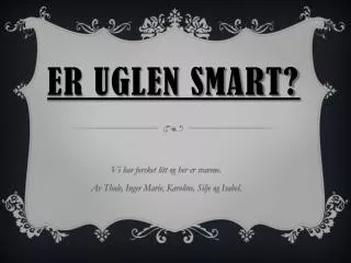 er uglen smart