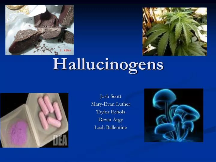 Ppt Hallucinogens Powerpoint Presentation Free Download Id 4256983