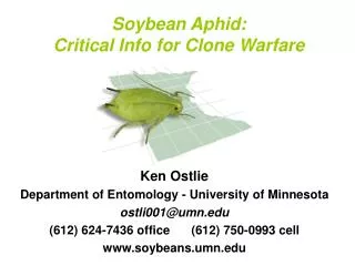 Soybean Aphid: Critical Info for Clone Warfare