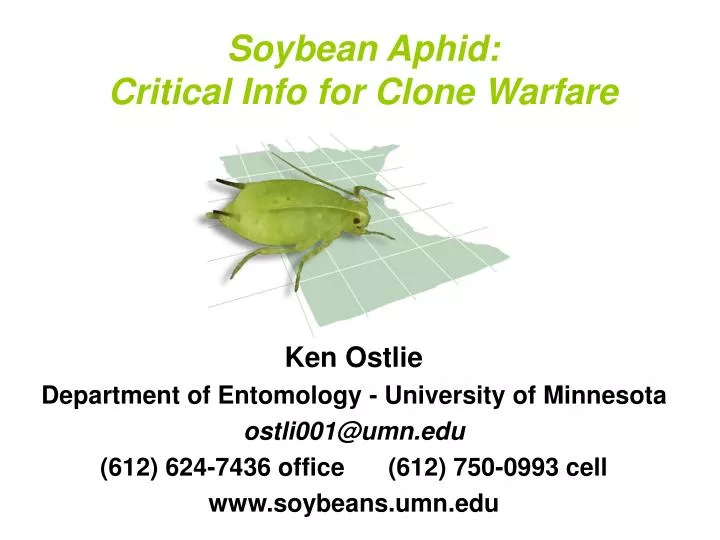soybean aphid critical info for clone warfare