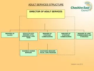 ADULT SERVICES STRUCTURE
