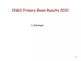 CNGS Primary Beam Results 2010