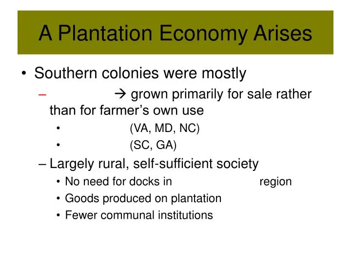 a plantation economy arises