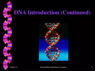 dna introduction continued