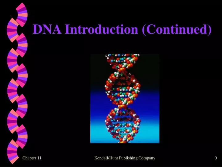 dna introduction continued