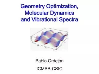 Geometry Optimization, Molecular Dynamics and Vibrational Spectra