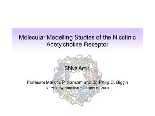 Molecular Modelling Studies of the Nicotinic Acetylcholine Receptor