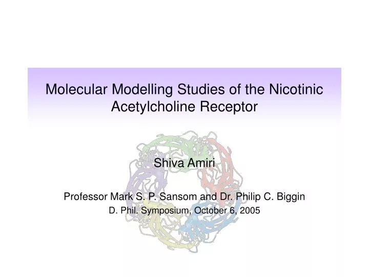 molecular modelling studies of the nicotinic acetylcholine receptor