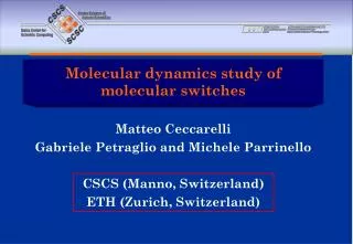 Molecular dynamics study of molecular switches