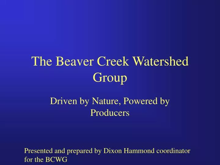 the beaver creek watershed group