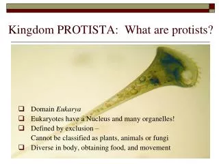 Kingdom PROTISTA: What are protists?