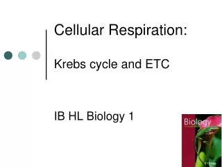 Cellular Respiration: Krebs cycle and ETC