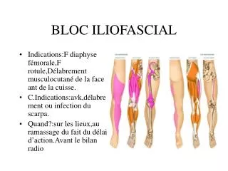 bloc iliofascial