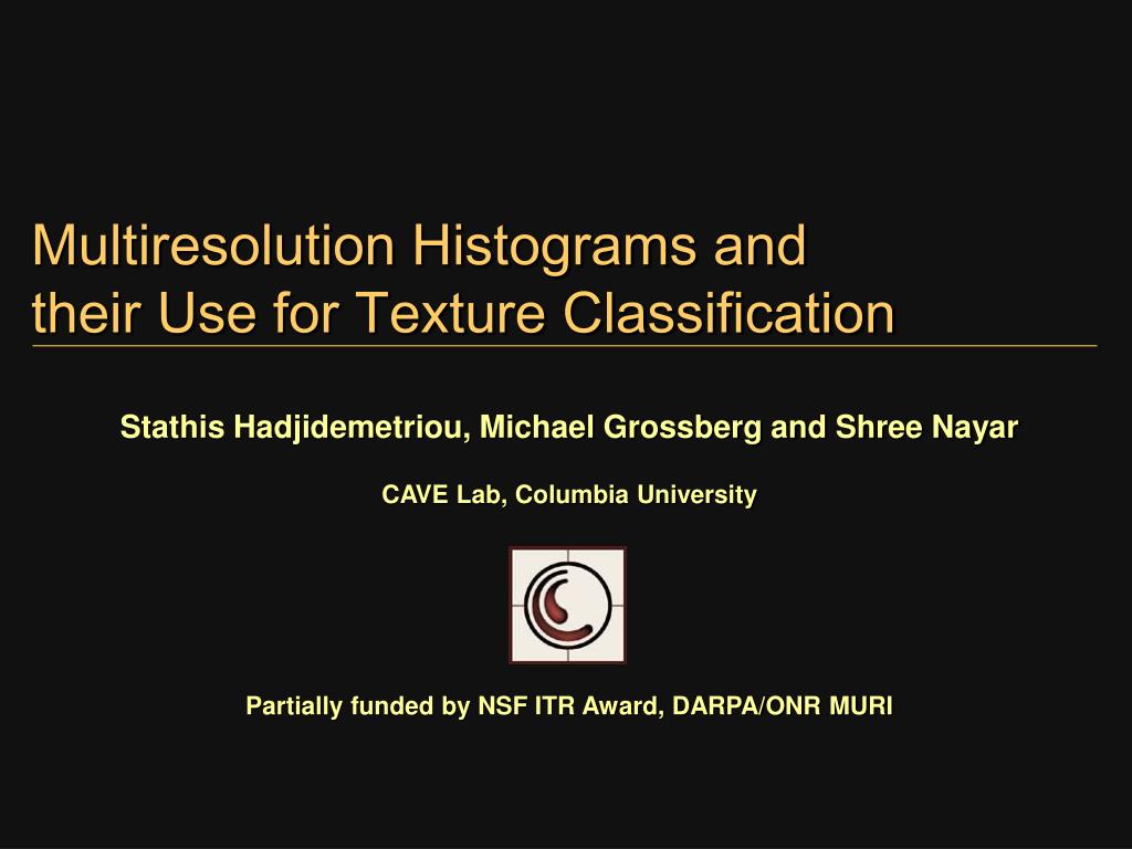 Multiresolution Histograms PPT - Multiresolution Histograms and their Use for Texture ...