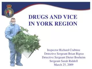 DRUGS AND VICE IN YORK REGION