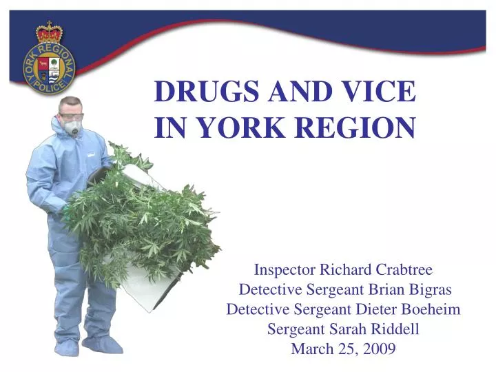 drugs and vice in york region