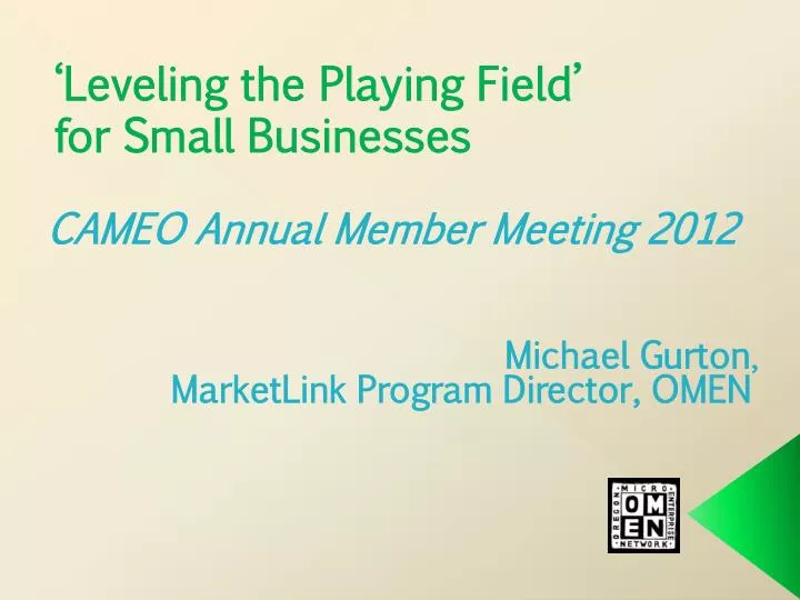 leveling the playing field for small businesses