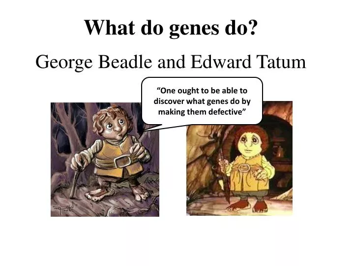 what do genes do