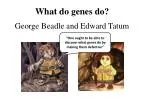 What do genes do? - slide 1