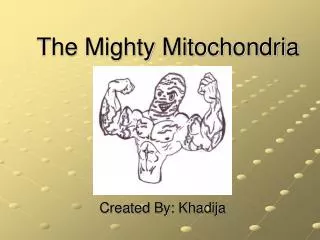 The Mighty Mitochondria