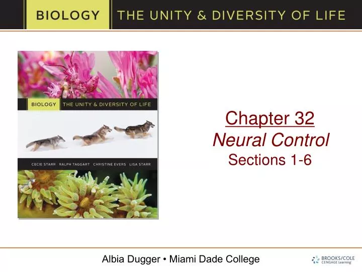 chapter 32 neural control sections 1 6