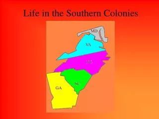 Life in the Southern Colonies