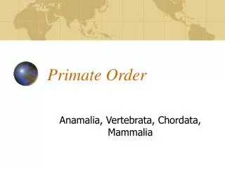 Primate Order