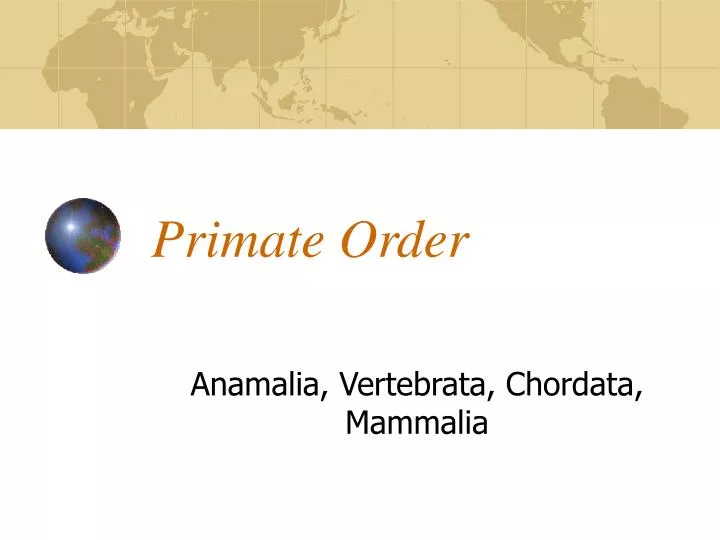 primate order