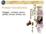 Primate Classification - slide 1