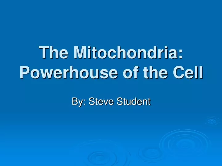 the mitochondria powerhouse of the cell