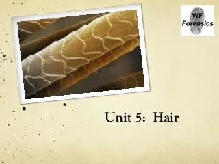 Unit 5: Hair