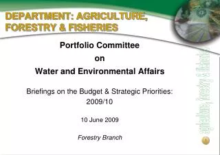 DEPARTMENT: AGRICULTURE, FORESTRY &amp; FISHERIES