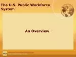 The U.S. Public Workforce System