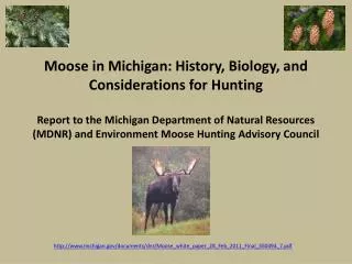 michigan/documents/dnr/Moose_white_paper_28_Feb_2011_Final_350494_7.pdf