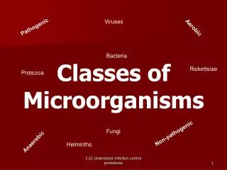 Classes of Microorganisms