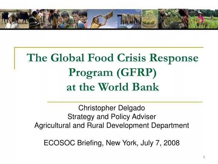 the global food crisis response program gfrp at the world bank