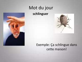 mot du jour
