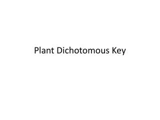 Plant Dichotomous Key