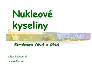 nukleov kyseliny