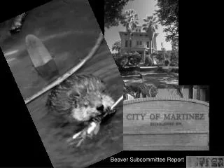 Beaver Subcommittee Report