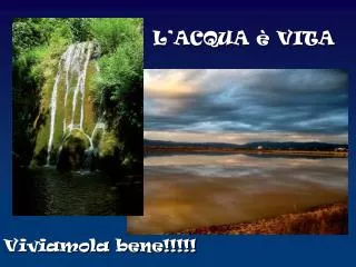 l acqua vita