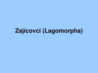 zaj covci lagomorpha
