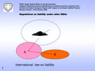 International law on liability