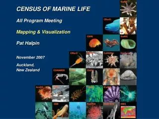 CENSUS OF MARINE LIFE All Program Meeting Mapping &amp; Visualization Pat Halpin November 2007