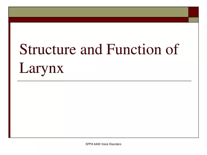 structure and function of larynx