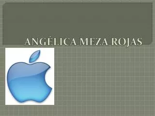 ang lica meza rojas